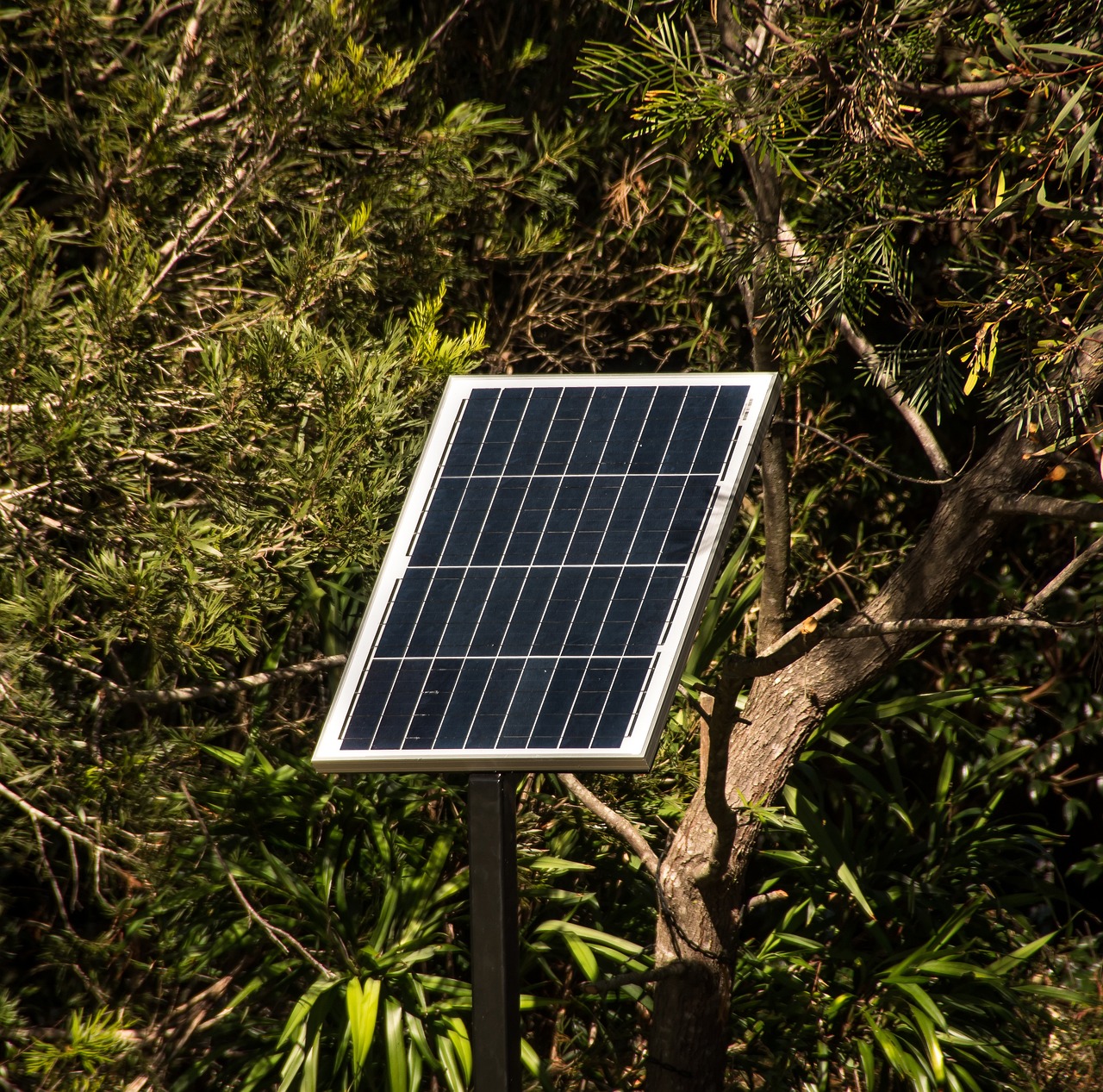 ¿Cuántos kWh produce un panel solar en un día?
